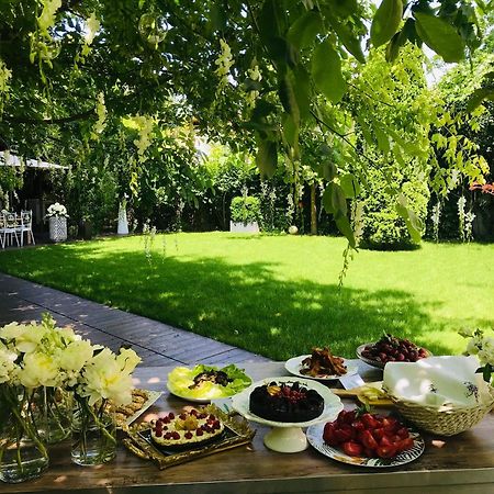 Hotel Vanilla Timisoara Luaran gambar